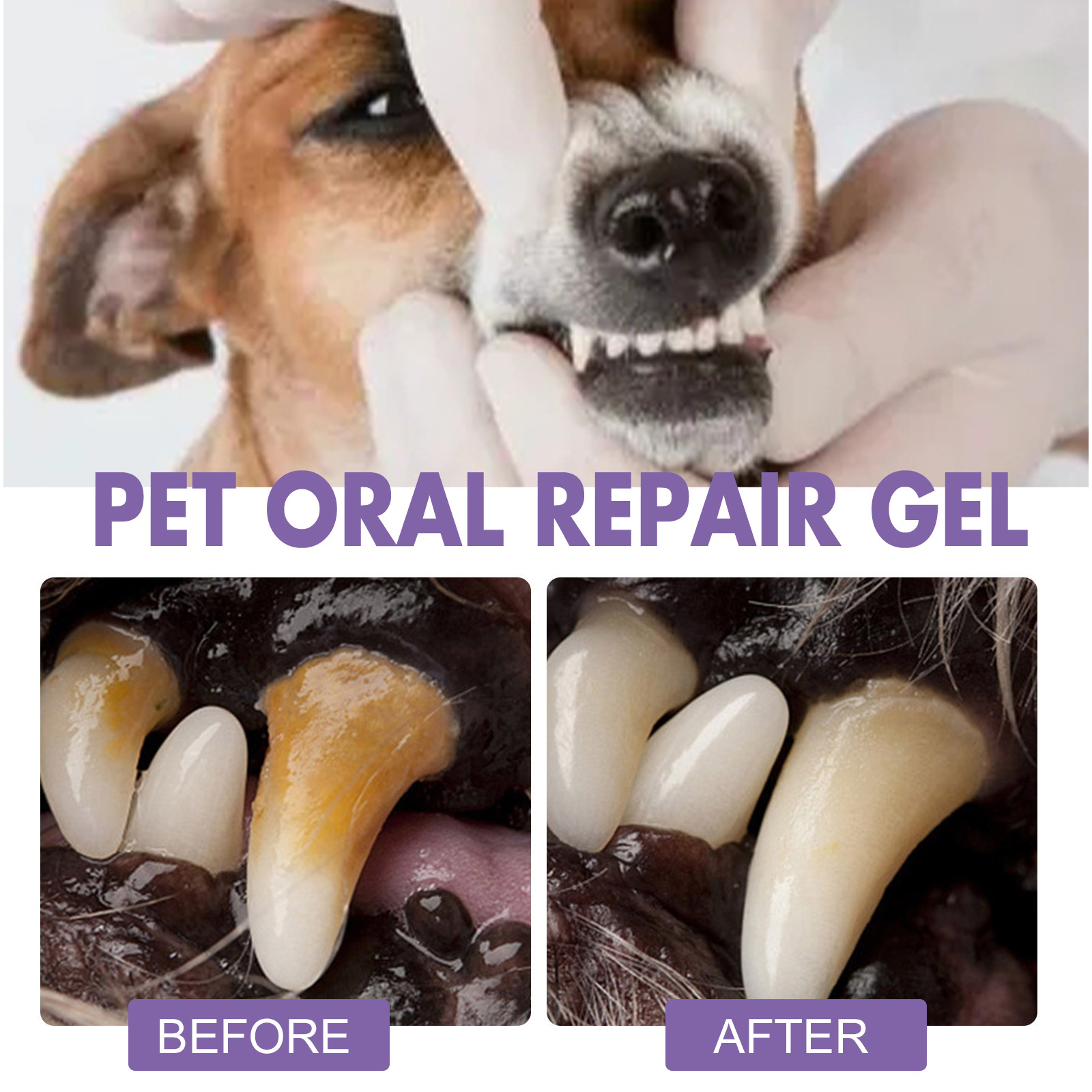 Pet Oral Repair Gel Puppy Tart - Teeth Whitening Near Me ulasan dan harga